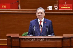 Party General Secretary To Lam (Photo: VNA)