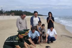 After undergoing health checks, all three sea turtles are released back into their natural habitat in the presence of authorities, local residents and tourists. (Photo: VNA) 