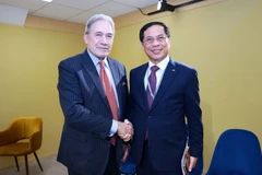 Deputy Prime Minister and Minister of Foreign Affairs Bui Thanh Son (R) and New Zealand’s Foreign Minister Winston Peters (Photo: VGP)