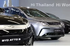 Chinese brands dominate Thailand's EV segment, with a combined share of over 70% of sales. (Photo: asia.nikkei.com) 