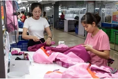Garment production for export to the EU at TNG Garment Company in Thai Nguyen province. (Photo: VNA)