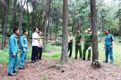 Forest rangers in Hanoi inspect woodland areas in Trung Gia commune. (Photo: hanoimoi.vn) 