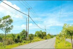 The move is expected to prevent up to 2.5 million tonnes of CO₂ emissions each year. (Photo: ADB) 