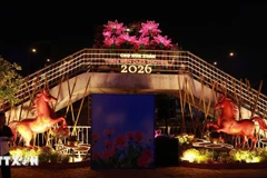 The spring flower market for the 2026 is brightly illuminated at night. (Photo: VNA) 