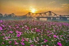 The beauty of Long Bien Bridge – a cultural and historical symbol of Hanoi. (Photo: VNA) 