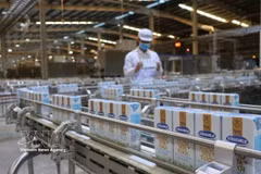 A dairy production line of Vinamilk. (Photo: VNA)