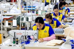 Workers at a garment company in HCM City. (Photo: VNA) 