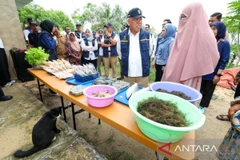Head of the IKN Authority Basuki Hadimuljono (wearing a black cap) converses with a resident during a visit to Muara Sembilang Village in Kutai Kartanegara, East Kalimantan. (Photo:ANTARA)