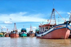 Fishing vessels anchor at Ganh Hao fishing port in Ca Mau province. (Photo: VNA) 