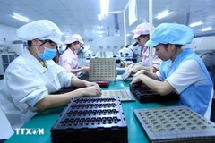 Workers in an electronic component assembly line of the factory of the Bao Sen Co. Ltd in Bac Ninh province. (Photo: VNA)