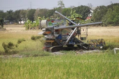 A farmer harvests rice using a combine harvester in Nonthaburi province. Many farmers have complained of a sharp drop in rice prices and called on the government to step in and help them. (Photo: Bangkokpost) 