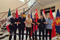 Heads of ASEAN diplomatic missions in Mexico pose for a group photo. (Photo: VNA published)