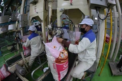 Rice is packaged at Loc Troi Group’s factory in An Giang province. (Photo: VNA) 