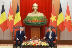 Party leader To Lam (R) and Belgian King Philippe (Photo: VNA)