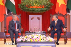 Party General Secretary To Lam and King Abdullah II Ibn Al Hussein of Jordan (Photo: VNA)