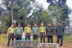 Lam Dong releases hundreds of wild animals into the wild. (Photo: VNA)