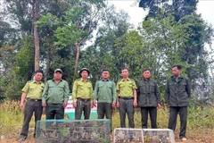 Lam Dong releases hundreds of wild animals into the wild. (Photo: VNA)