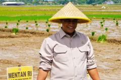 Head of the National Food Agency (Bapanas) and concurrently Minister of Agriculture Andi Amran Sulaiman. (Photo: ANTARA) 