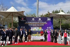 Football tournament strengthens solidarity among Vietnamese community in RoK (Photo: VNA)