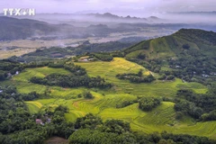 Unlike more developed destinations such as Sa Pa or Mu Cang Chai, Mien Doi remains untouched by mass tourism, appealing to those seeking a slower pace and authentic local experiences. (Photo: VNA)