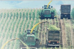 Exploring TH True Milk’s green journey: where nature meets innovation