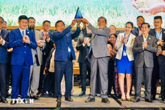 Vietnam’s ST25 rice reclaims title of world’s best (Photo: VNA)