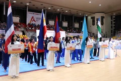 Ten nations vie for glory at 9th Asian Pencak Silat Championship in Vietnam (Photo: VNA) 