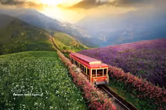 The Muong Hoa mountain-climbing train enhances green tourism experiences for visitors to Sa Pa. (Photo: VNA) 