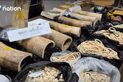 Thai police announce biggest ivory seizure in a decade (Photo: nationthailand)