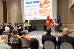 Delegates at the event (Photo: VNA)
