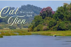 Cat Tien: A refuge for endangered wildlife (Photo: vietnamoriginal-travel.com)