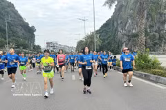 Athletes compete in the 5km race at the 2025 Halong Bay Heritage International Marathon. (Photo: VNA) 
