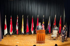 Mizuno Atsushi, Director-General for Policy Coordination at the Cabinet Office of Japan, speaks at the departure ceremony of the 49th SSEAYP. (Photo: VNA)
