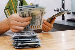 The daily reference exchange rate is at 25,131 VND/USD on May 15. (Photo: VNA)