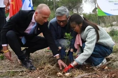 Vietnamese embassy joins Israel’s tree planting festival in Ben Shemen Forest (Photo: VNA)