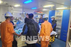 Rescuers on the cruise ship Westerdam (Photo published by VNA)