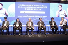 Delegates at the 13th Mekong–RoK Business Forum (Photo: VNA)