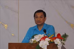 Pham Trong Nhan, Vice President of the Ho Chi Minh City Labour Federation, speaks at a working session with the National Trades Union Congress (NTUC) of Singapore on May 13. (Photo: VNA) 