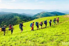 Visitors experience the Ta Nang–Phan Dung trekking route. (Photo: nhandan.vn) 