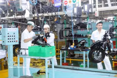 Aiming to become a modern industrial hub for both the region and the country, Ninh Binh province is focusing on improving the investment climate, promoting green industry, applying high technology, and proactively attracting high-quality FDI inflows. (Photo: VNA) 