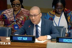 Nguyen Hoang Nguyen, Minister Counselor and Deputy Permanent Representative to the UN (Photo: VNA)