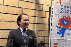 Tran Nhat Hoang, Deputy Director of the International Cooperation Department under the Ministry of Culture, Sports, and Tourism in an interview with VNA (Photo: VNA)