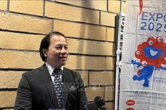 Tran Nhat Hoang, Deputy Director of the International Cooperation Department under the Ministry of Culture, Sports, and Tourism in an interview with VNA (Photo: VNA)