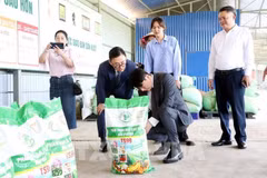 Representatives of Eco Hopia Co., Ltd. of the Republic of Korea visit an earthworm farming facility operated by the Song Gia Investment and Development Cooperative in Hai Phong city. (Photo: VNA) 