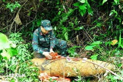 A 350kg wartime bomb safely neutralised in Nghe An province. (Photo: VNA)