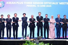 Delegates at the ASEAN Plus Three Senior Officials' Meeting (Photo: asean.org)