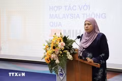 Zaimah Osman, Trade Consul of MATRADE, briefs the seminar on consumption trends in Muslim markets. (Photo: VNA) 