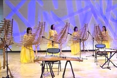 Traditional Vietnamese music strikes a cultural chord with RoK audiences (Photo: VNA)