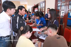 As of June 2026, Vietnam had 499 licensed enterprises providing overseas employment services. (Photo: VNA)