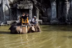 Two tourists ride a Sumatran elephant at Bali Zoo, Gianyar, Bali, June 25, 2018. (Photo: ANTARA)